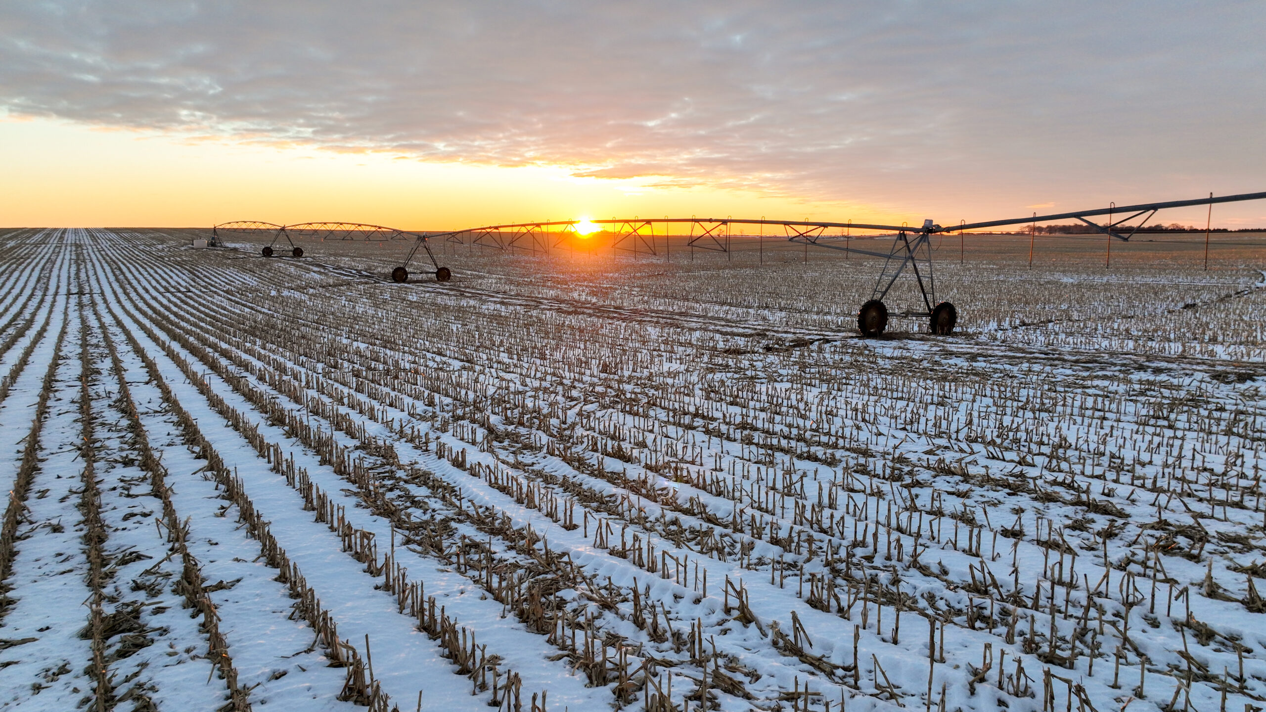 Holt County, Nebraska Irrigated Farms and Pasture Auction