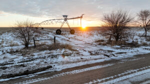 Holt County, Nebraska Irrigated Farms and Pasture Auction