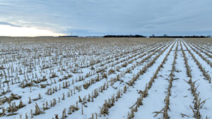 Holt County, Nebraska Irrigated Farms and Pasture Auction