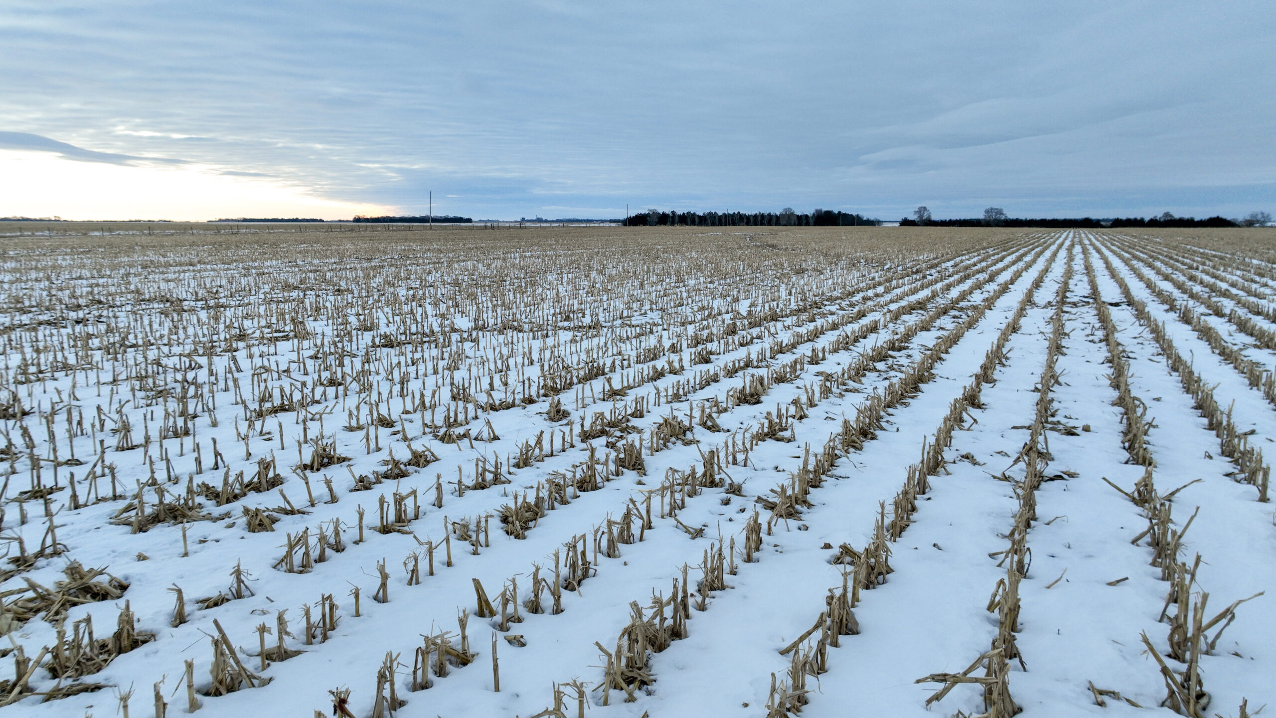 Holt County, Nebraska Irrigated Farms and Pasture Auction
