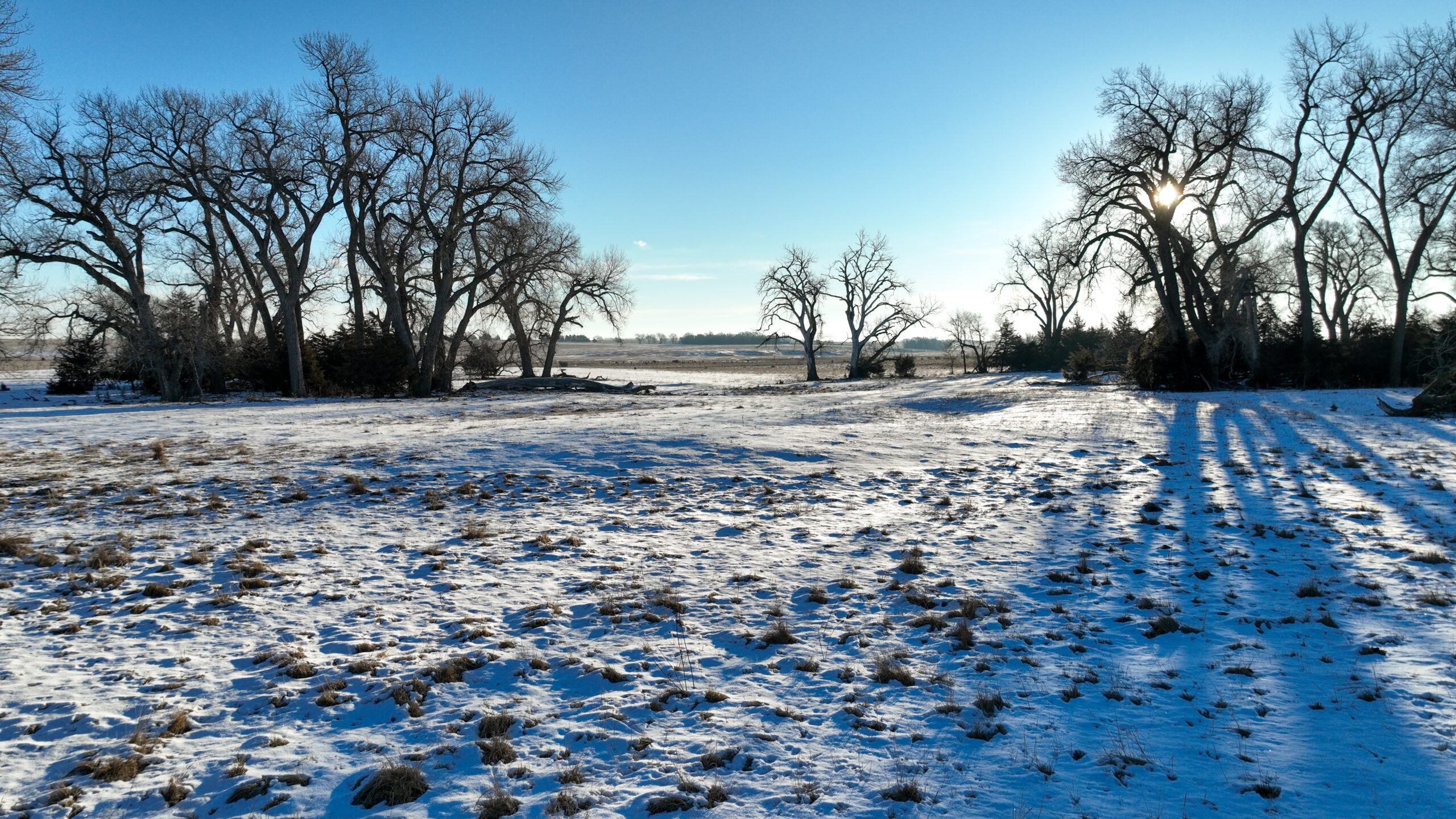 Holt County, Nebraska Irrigated Farms and Pasture Auction