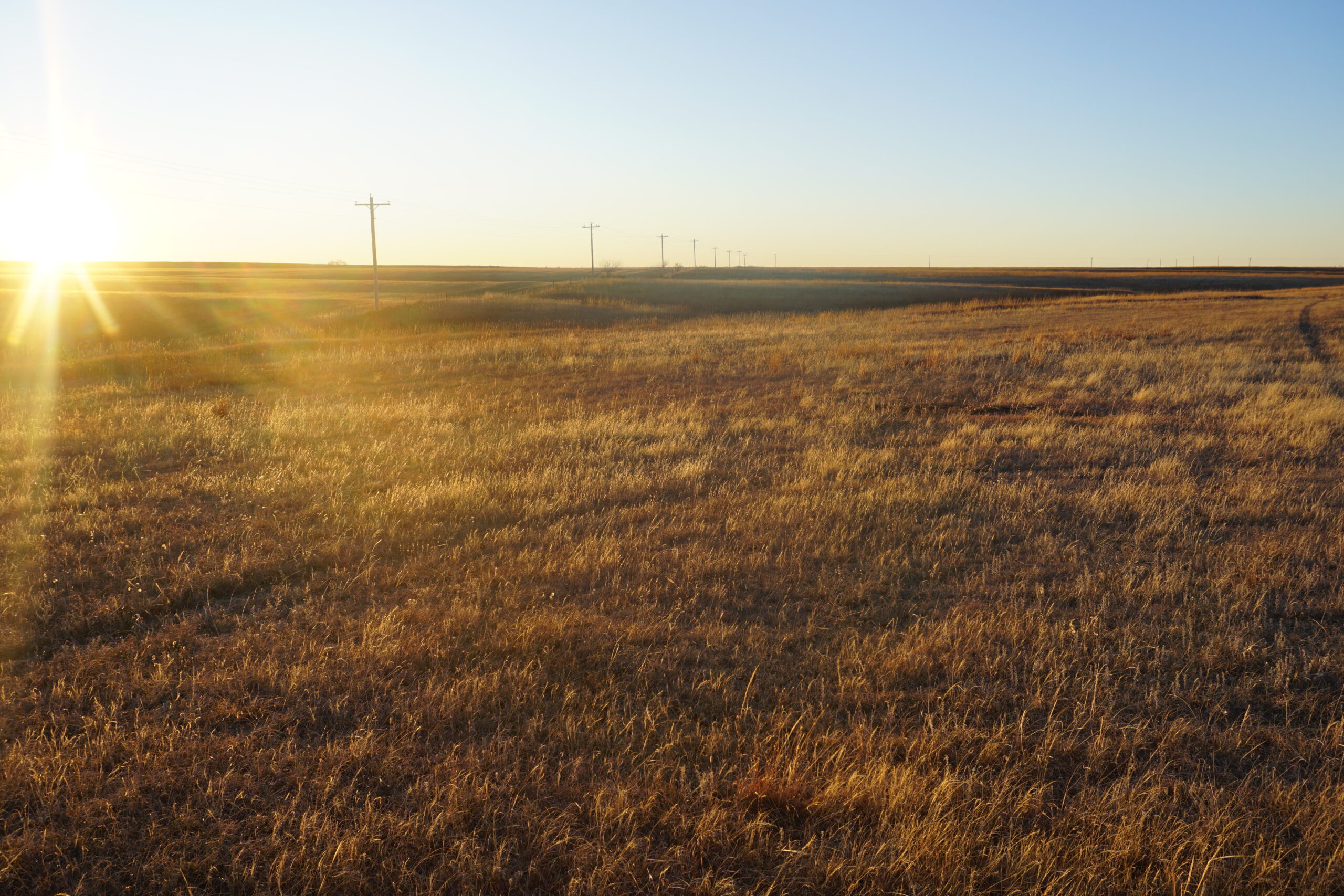 Holt County Nebraska Pasture for Sale |