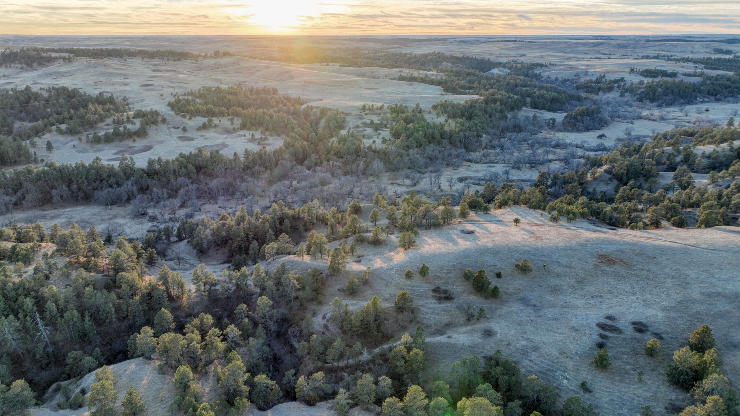 Bennett County, South Dakota Ranchland Auction