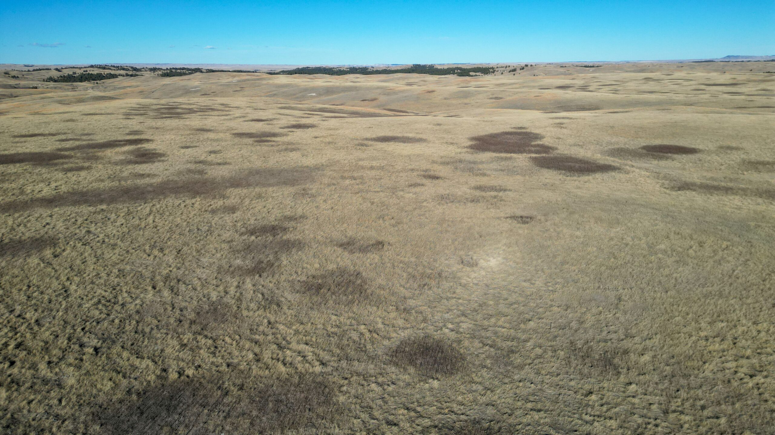 Bennett County, South Dakota Ranchland Auction