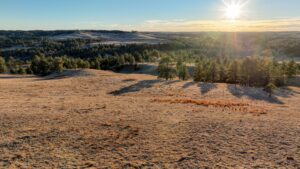 Bennett County, South Dakota Ranchland Auction