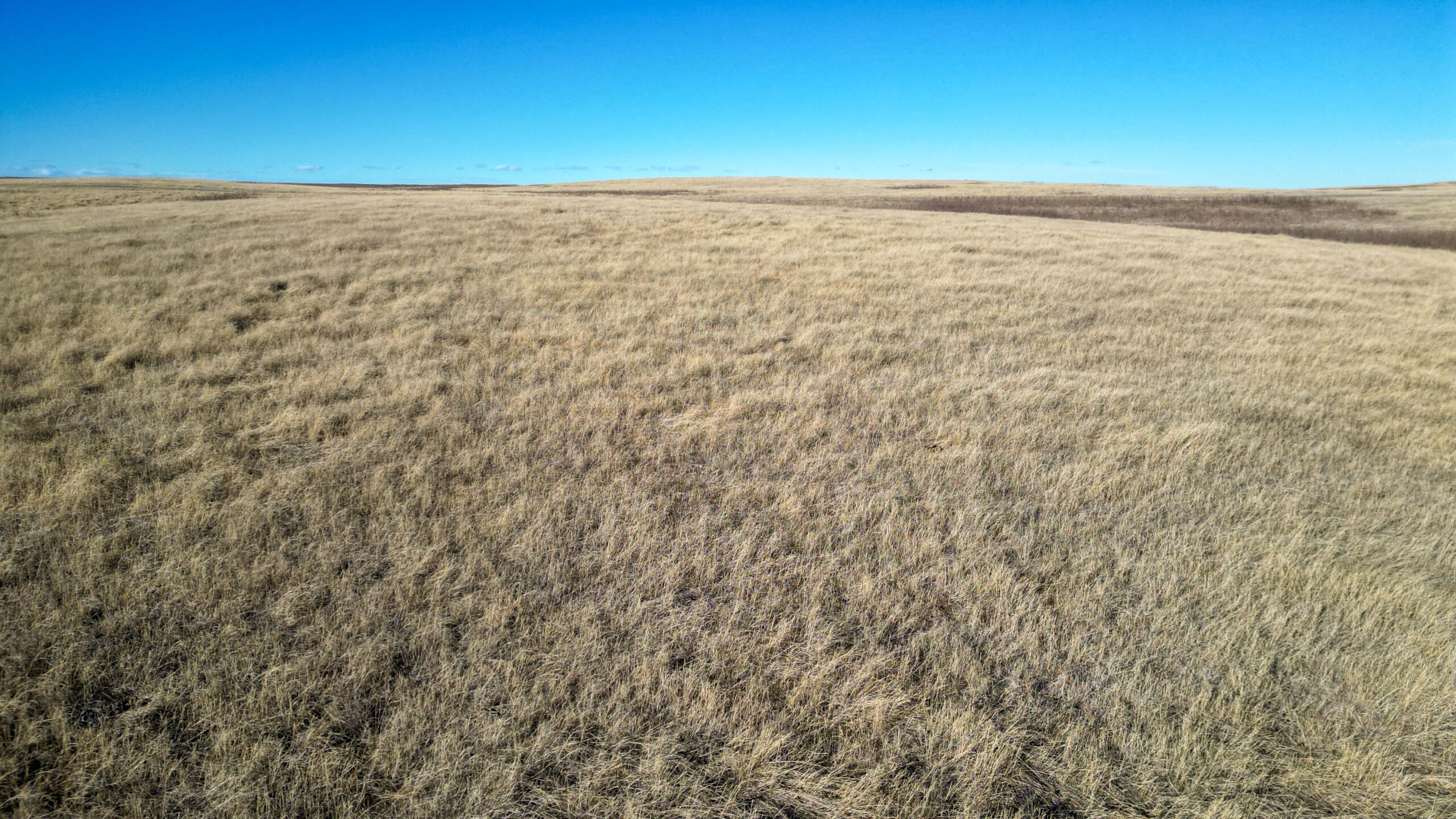 Bennett County, South Dakota Ranchland Auction