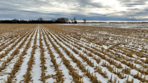 Rock County, Nebraska Irrigated Land Auction