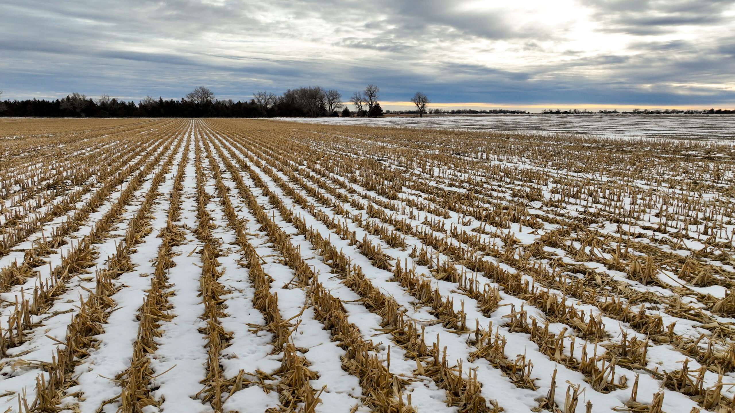Rock County, Nebraska Irrigated Land Auction