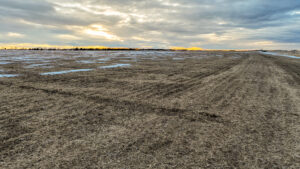 Rock County, Nebraska Irrigated Land Auction