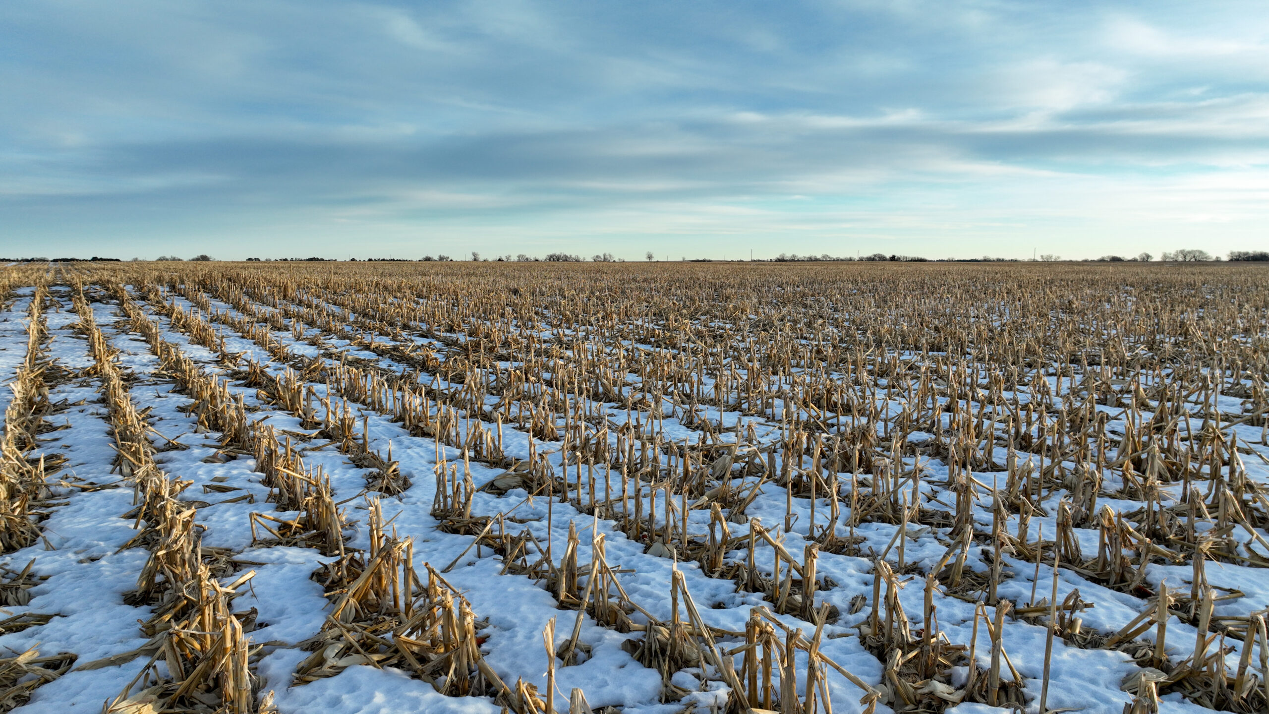 Rock County, Nebraska Irrigated Land Auction