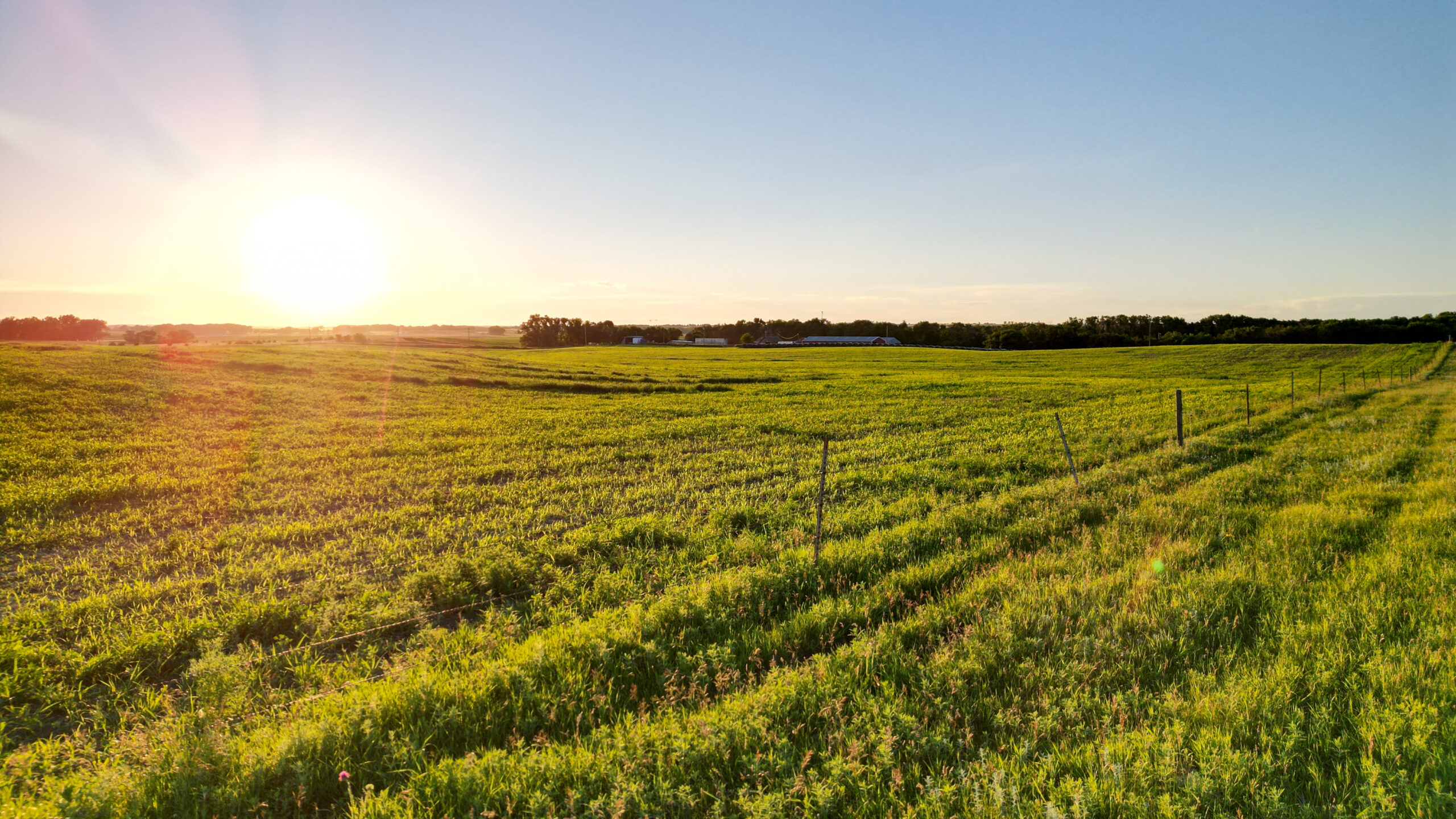Gregory County, South Dakota Pasture & Ranching Headquarters Auction SOLD!! |