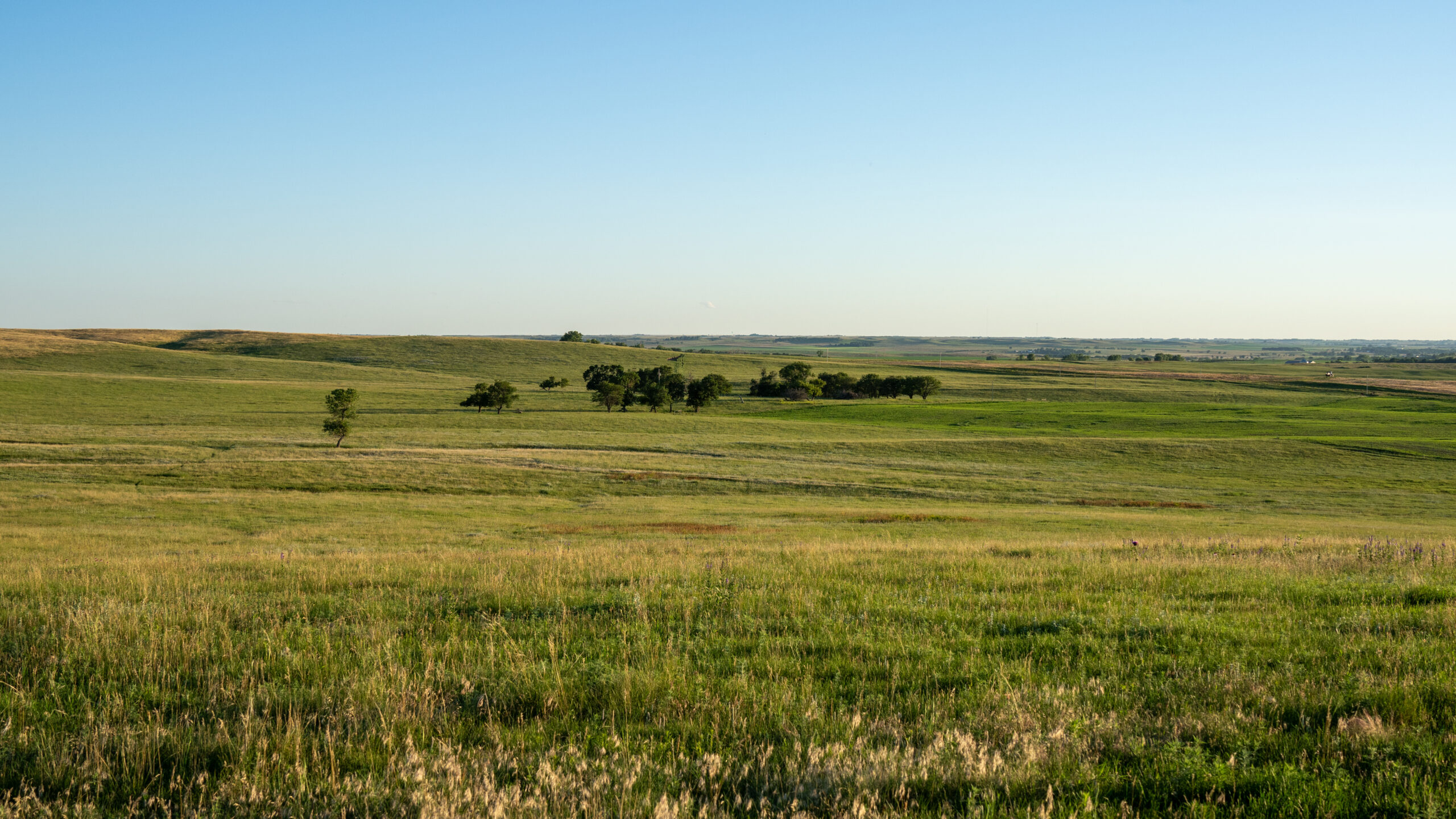 Gregory County, South Dakota Pasture & Ranching Headquarters Auction