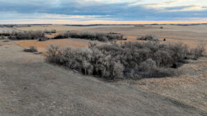 Pierce County, Nebraska Recreational Property/Acreage for Sale