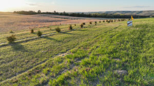 Niobrara River Valley Acreage For Sale