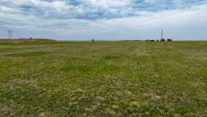 Versatile Holt County, NE Auction Parcel