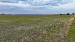 Versatile Holt County, NE Auction Parcel