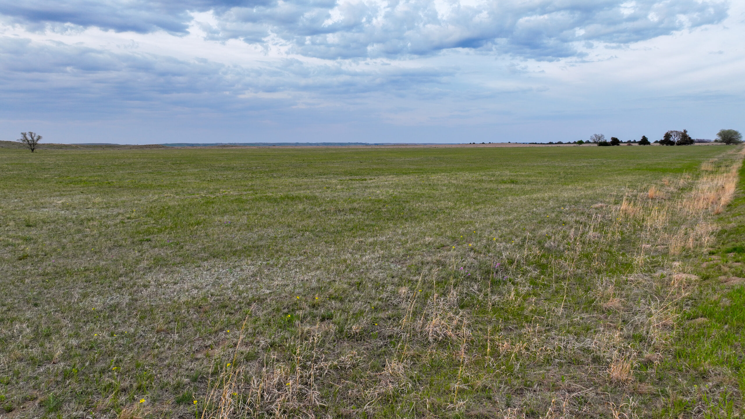 Versatile Holt County, NE Auction Parcel