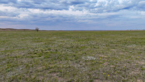 Versatile Holt County, NE Auction Parcel