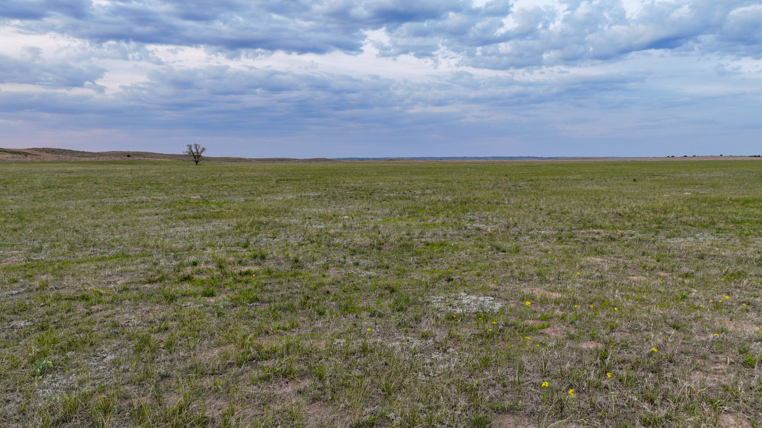 Versatile Holt County, NE Auction Parcel