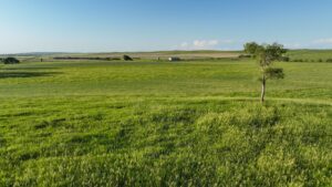 Tripp County, South Dakota Pasture/Headquarters Site Auction