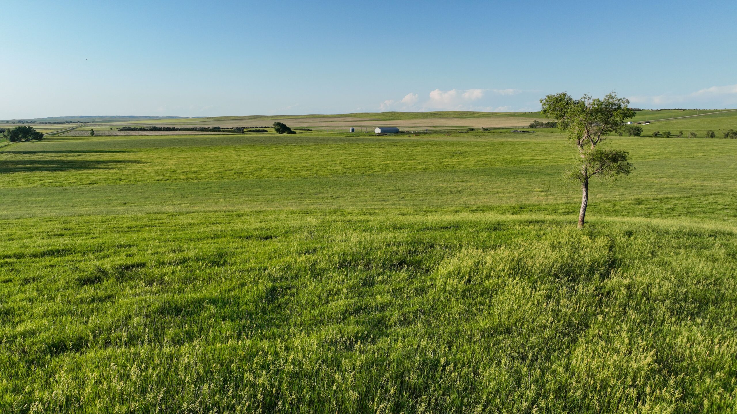 Tripp County, South Dakota Pasture/Headquarters Site Auction