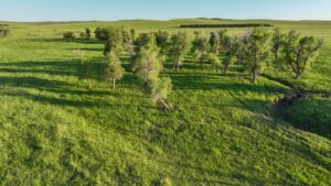 Tripp County, South Dakota Pasture/Headquarters Site Auction
