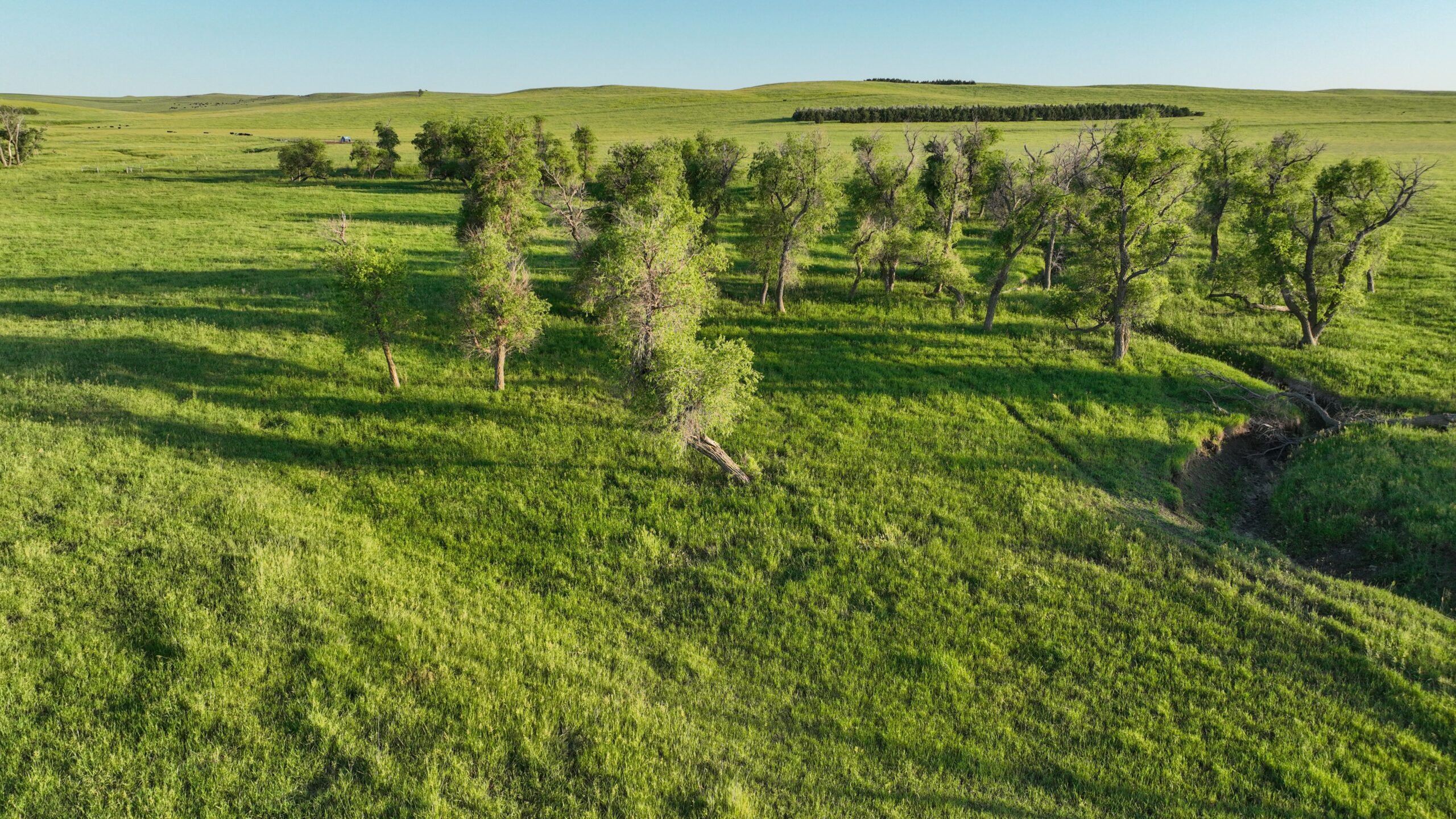 Tripp County, South Dakota Pasture/Headquarters Site Auction