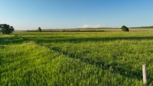 Tripp County, South Dakota Pasture/Headquarters Site Auction