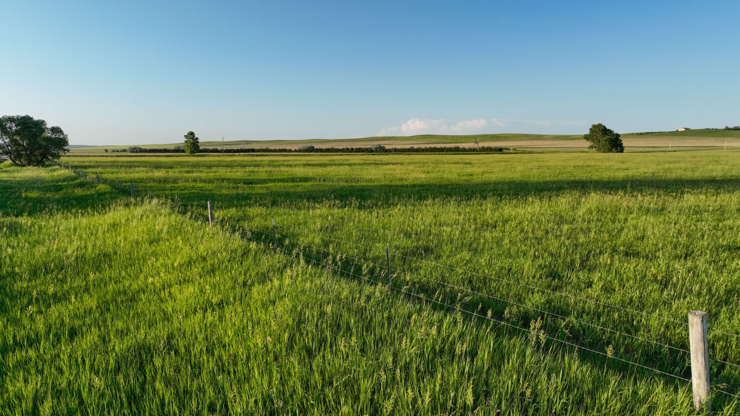 Tripp County, South Dakota Pasture/Headquarters Site Auction