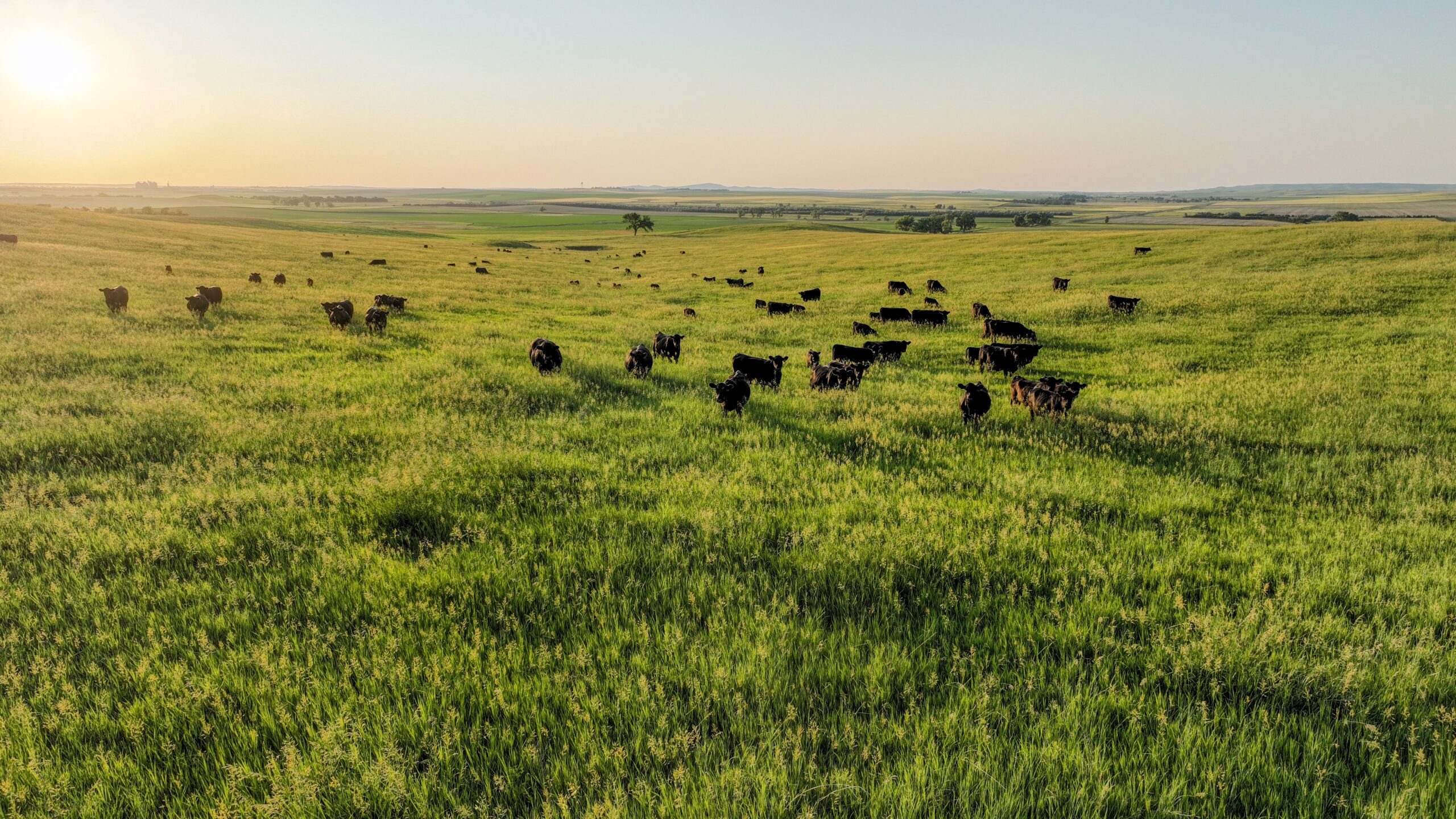 Tripp County, South Dakota Pasture/Headquarters Site Auction