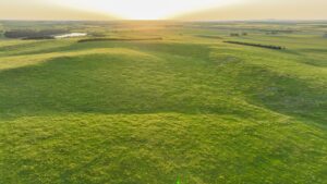 Tripp County, South Dakota Pasture/Headquarters Site Auction