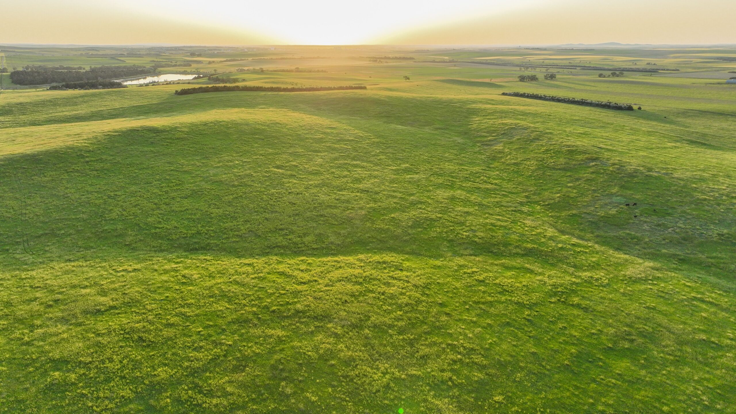 Tripp County, South Dakota Pasture/Headquarters Site Auction
