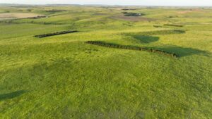 Tripp County, South Dakota Pasture/Headquarters Site Auction