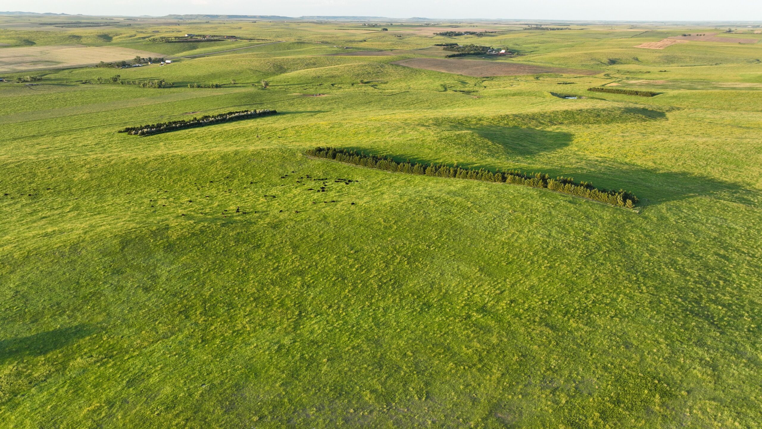 Tripp County, South Dakota Pasture/Headquarters Site Auction