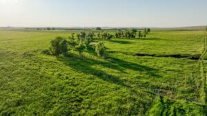 Tripp County, South Dakota Pasture/Headquarters Site Auction