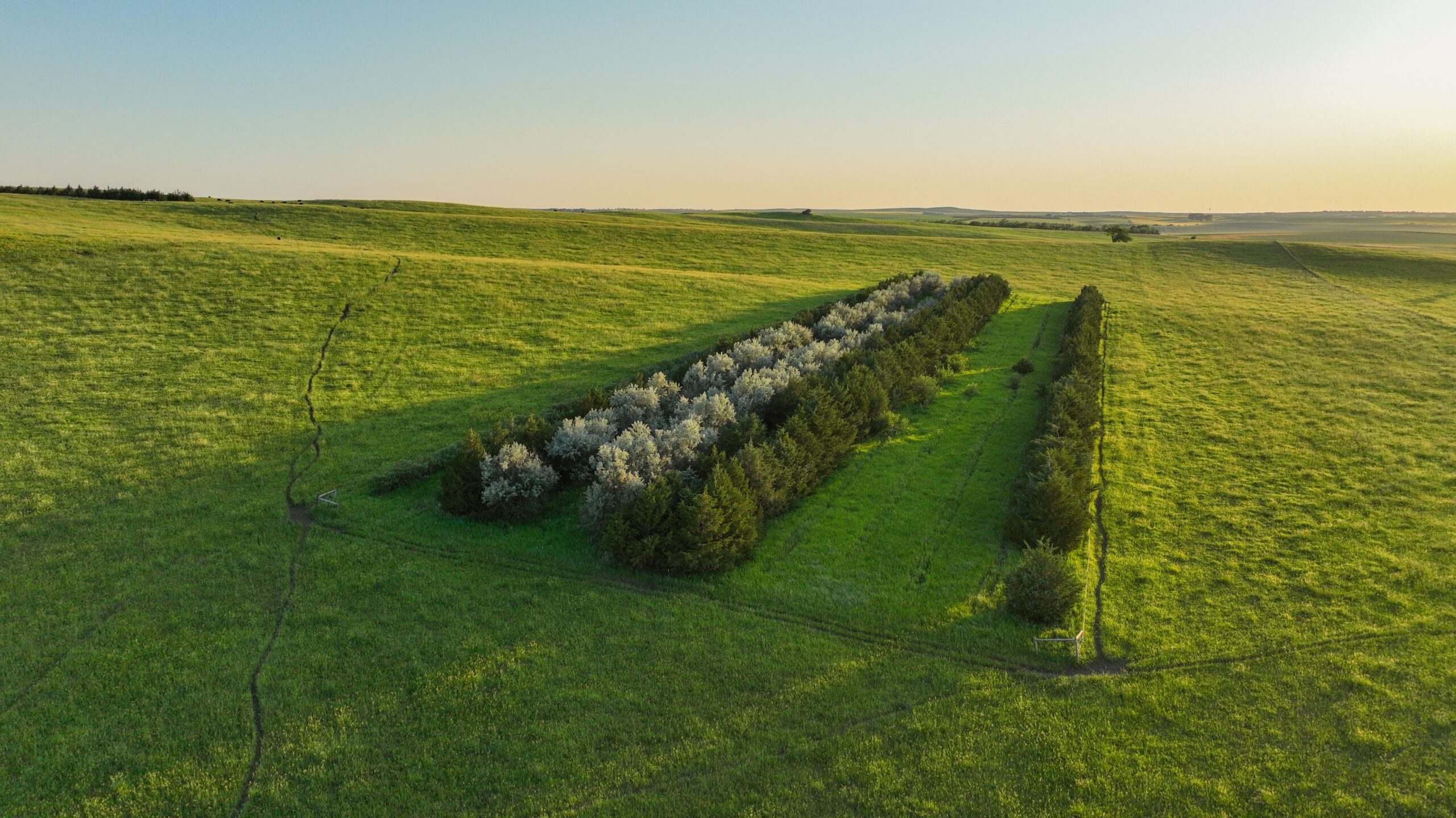 Tripp County, South Dakota Pasture/Headquarters Site Auction