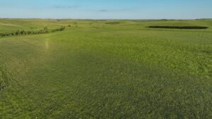 Tripp County, South Dakota Pasture/Headquarters Site Auction