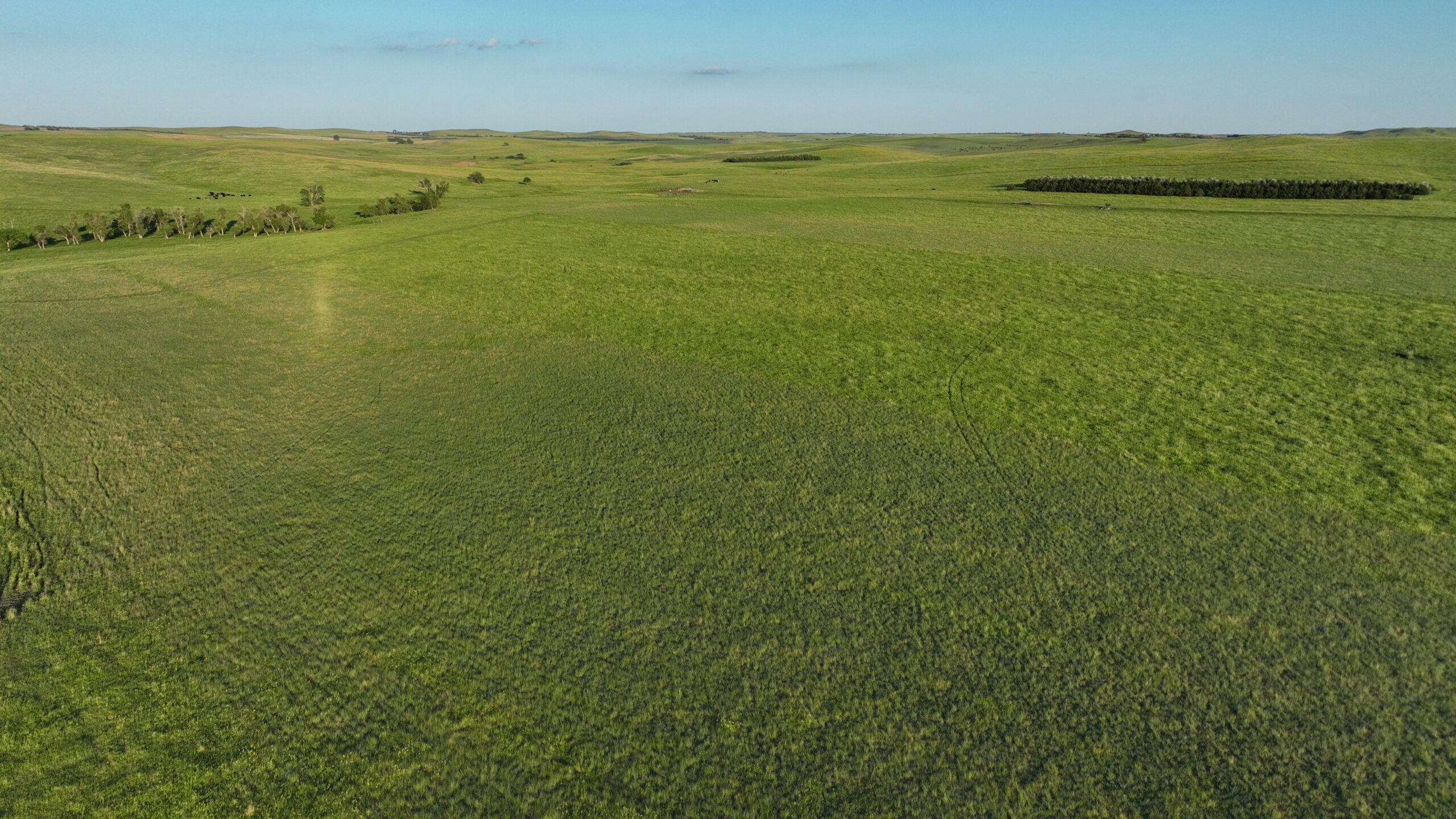 Tripp County, South Dakota Pasture/Headquarters Site Auction