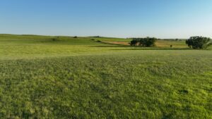 Tripp County, South Dakota Pasture/Headquarters Site Auction