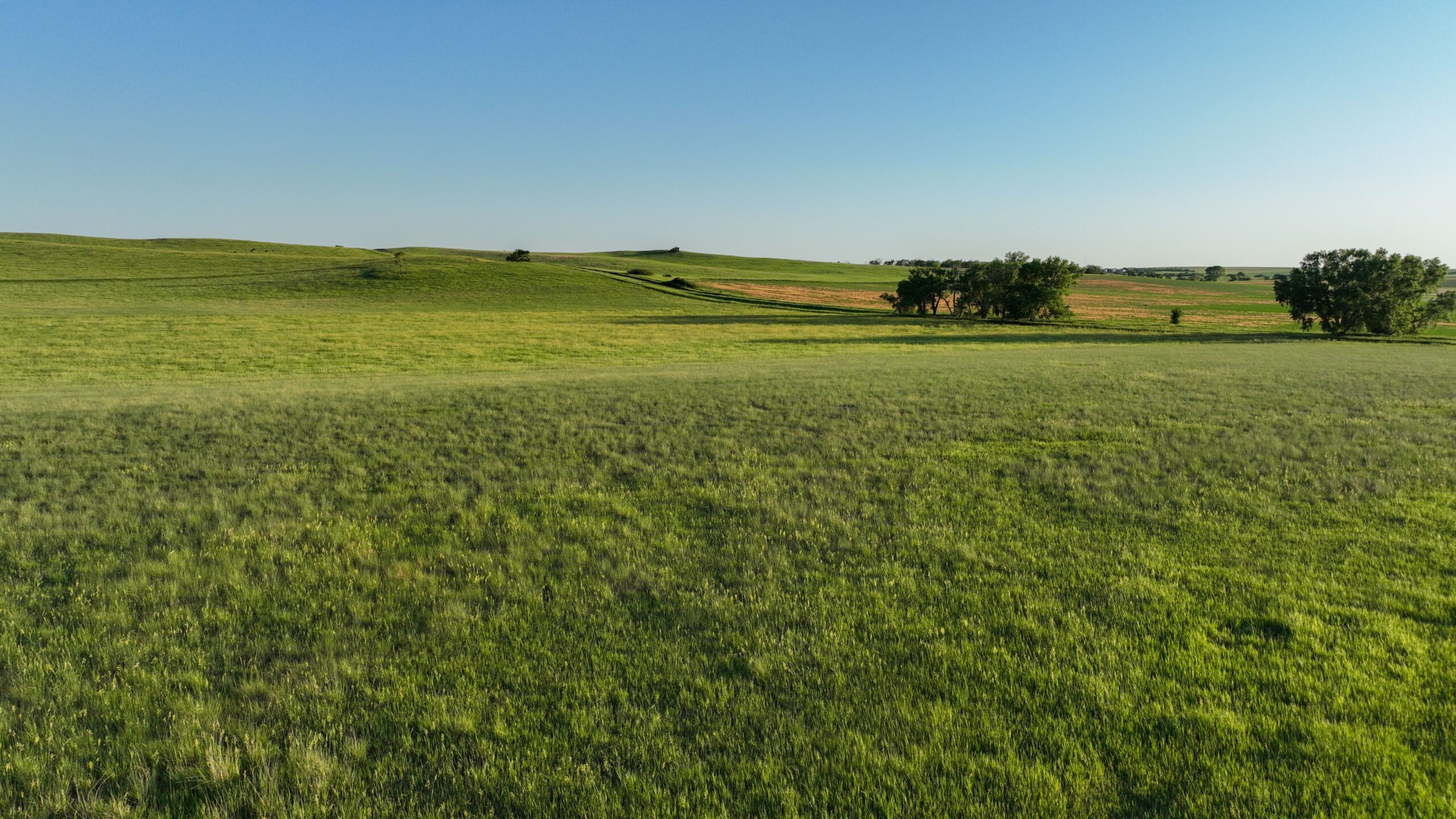 Tripp County, South Dakota Pasture/Headquarters Site Auction