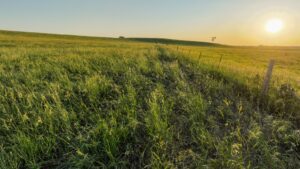 Tripp County, South Dakota Pasture/Headquarters Site Auction