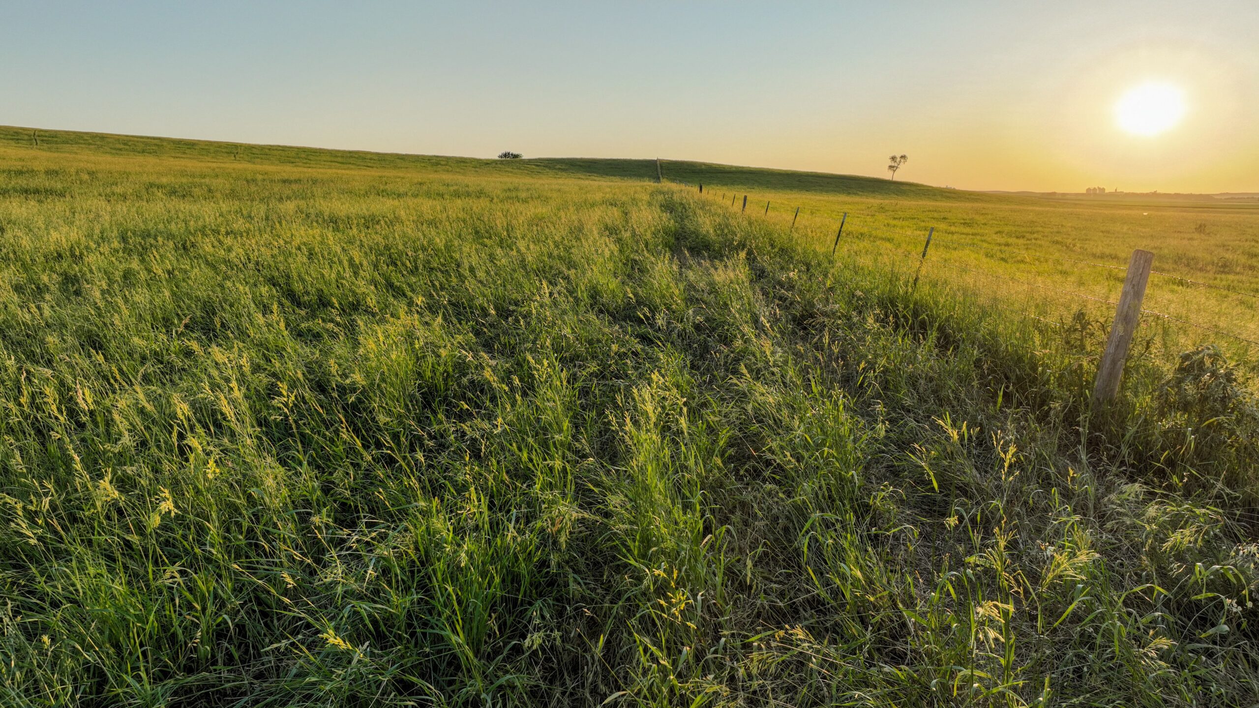 Tripp County, South Dakota Pasture/Headquarters Site Auction
