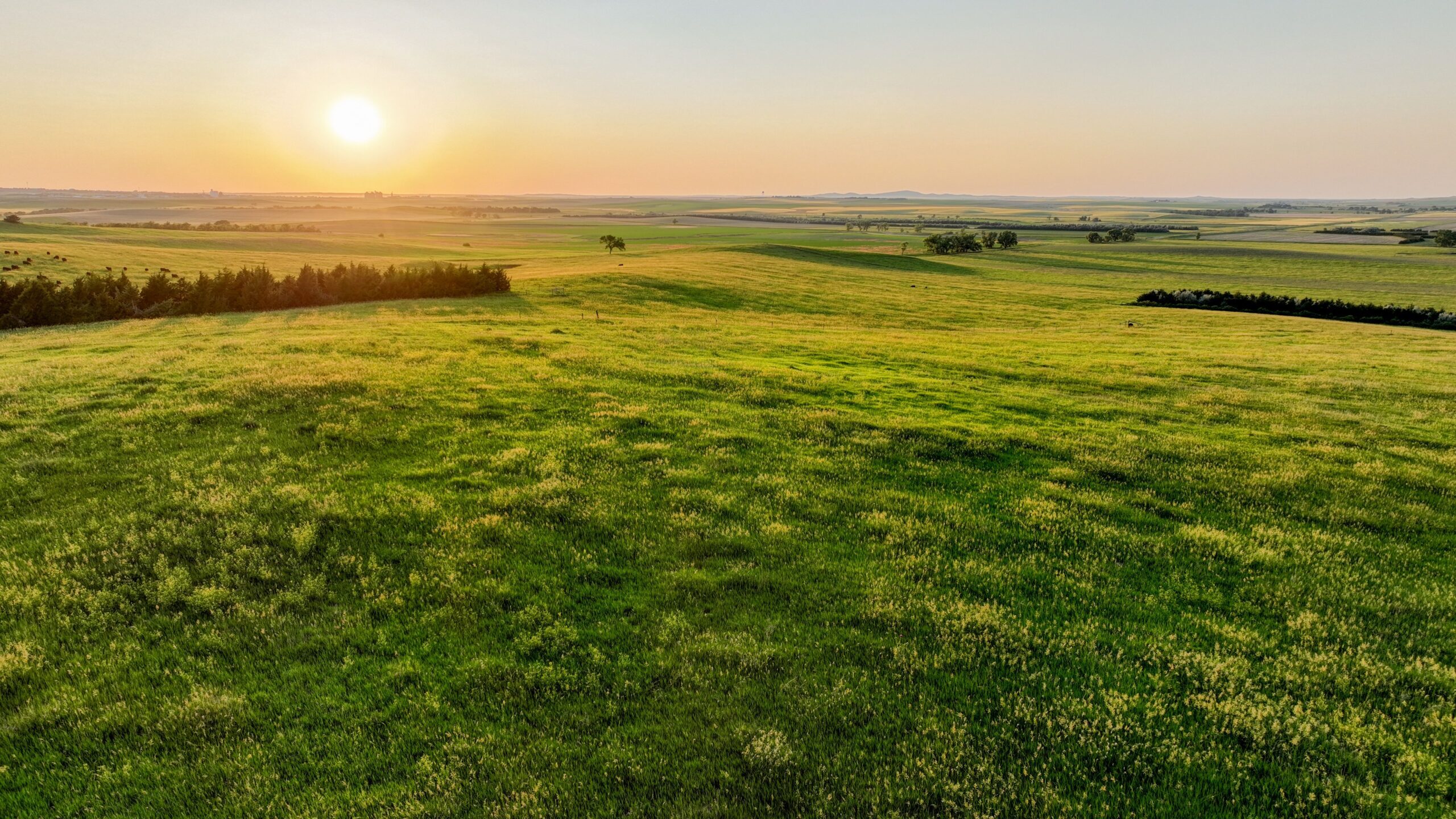 Tripp County, South Dakota Pasture/Headquarters Site Auction