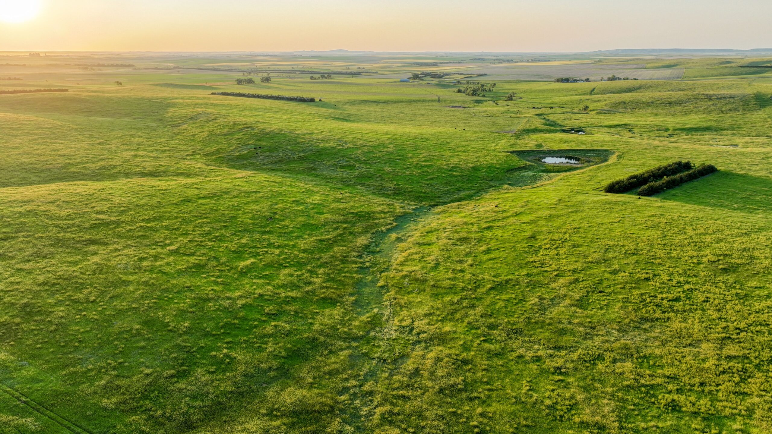 Tripp County, South Dakota Pasture/Headquarters Site Auction