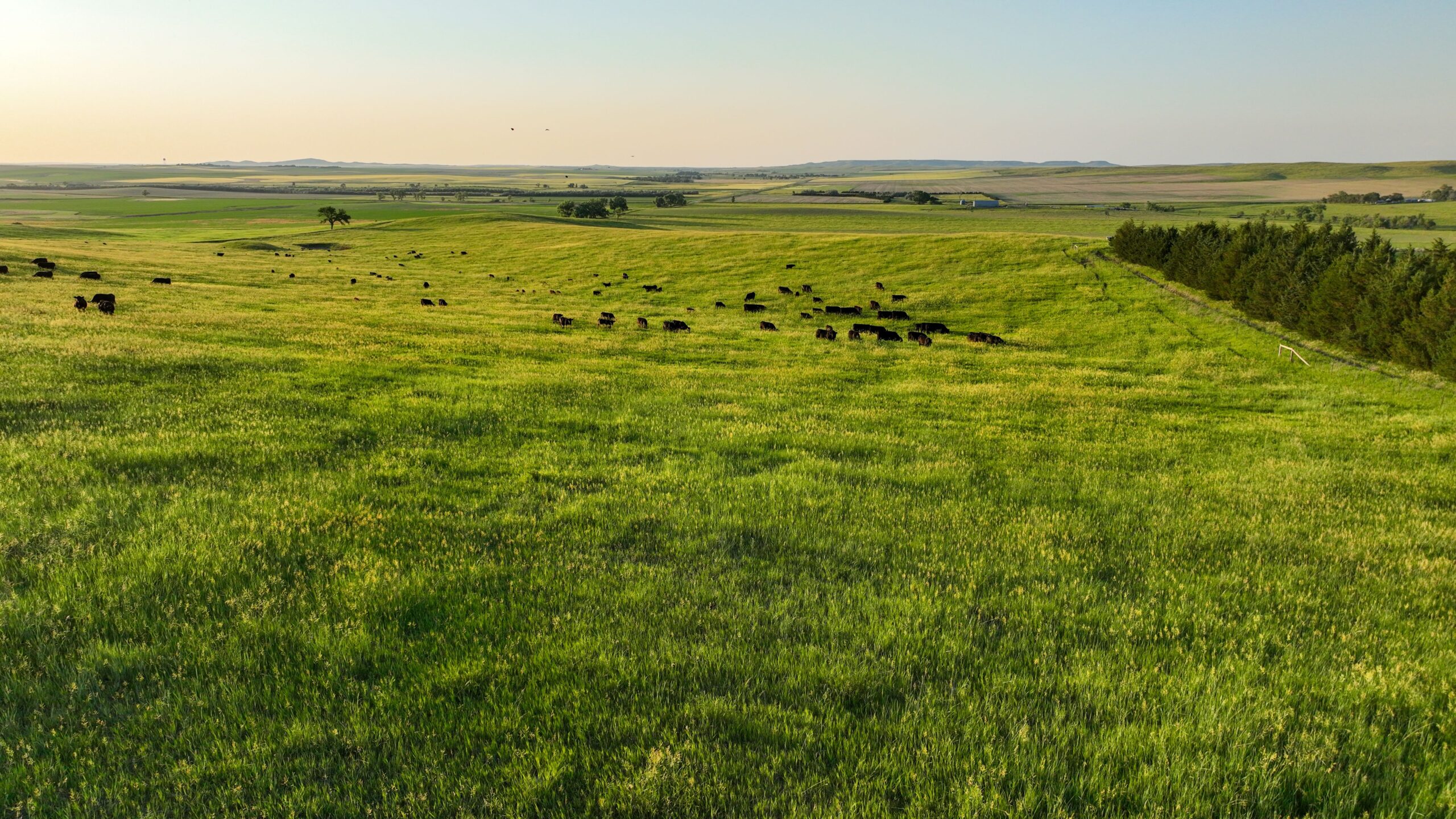 Tripp County, South Dakota Pasture/Headquarters Site Auction