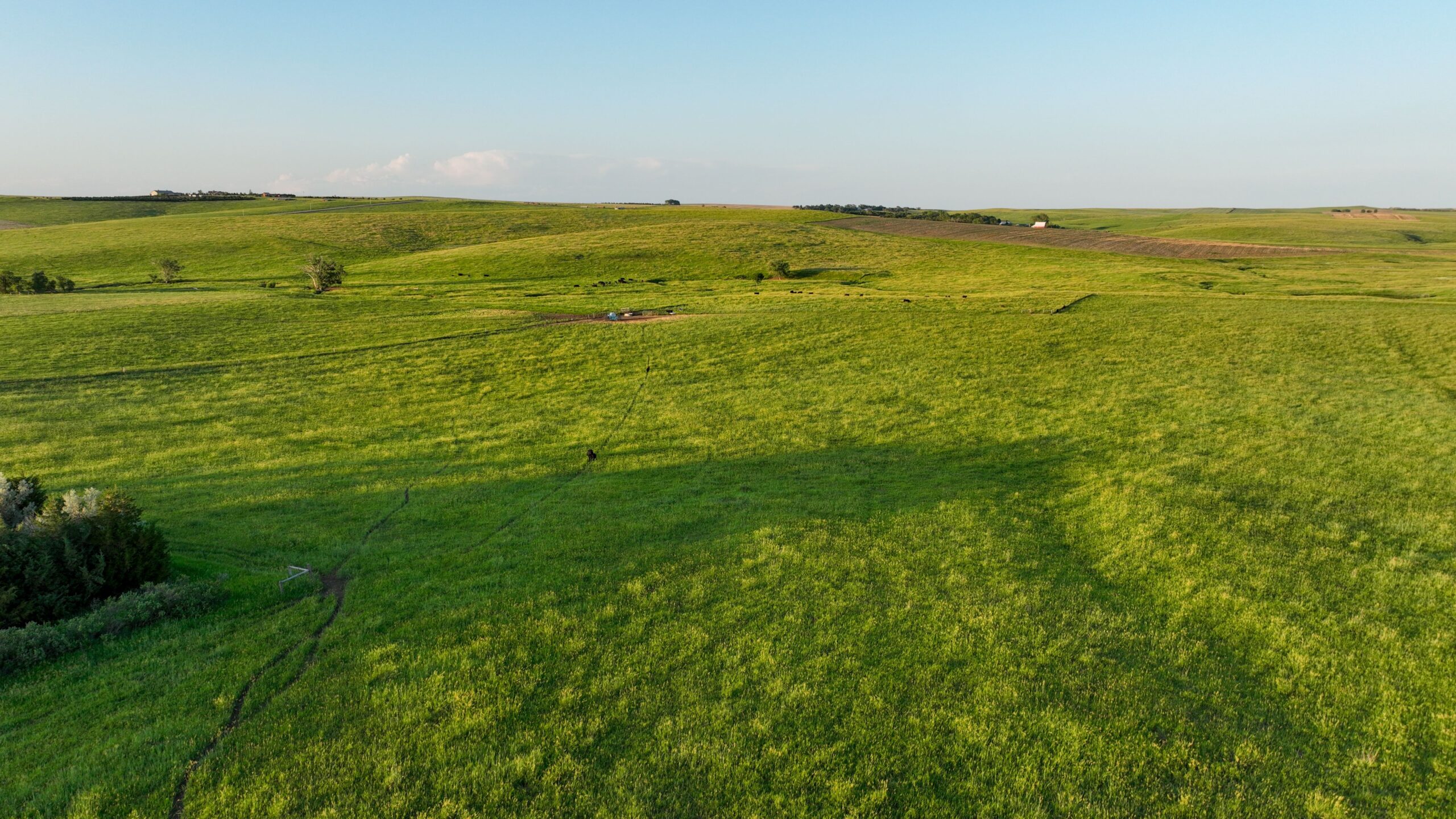 Tripp County, South Dakota Pasture/Headquarters Site Auction