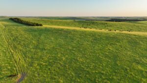 Tripp County, South Dakota Pasture/Headquarters Site Auction