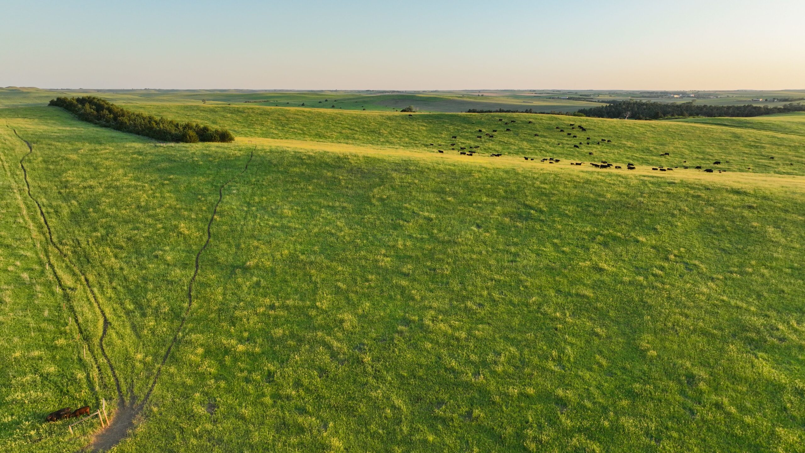 Tripp County, South Dakota Pasture/Headquarters Site Auction