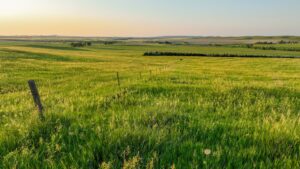 Tripp County, South Dakota Pasture/Headquarters Site Auction