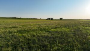 Tripp County, South Dakota Pasture/Headquarters Site Auction